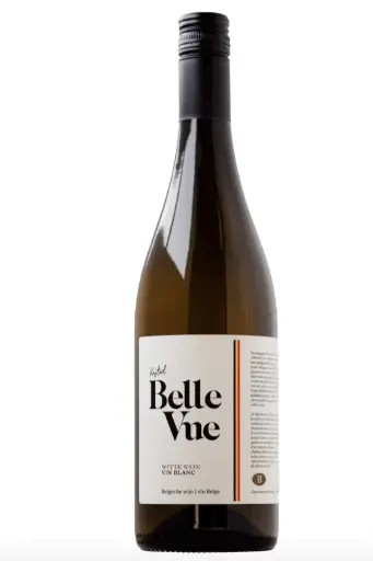 Kasteel Bellevue Wit